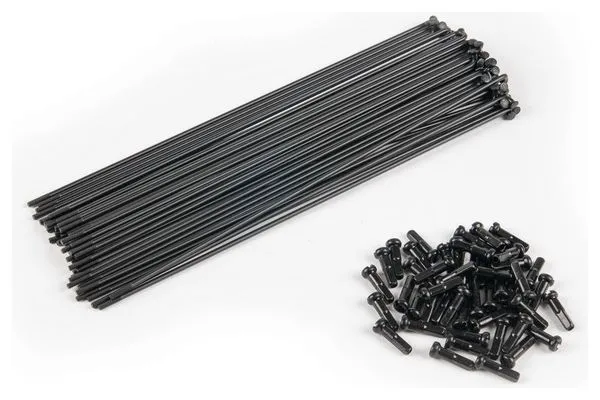 RAYONS ECLAT PG 184mm BLACK (x40)